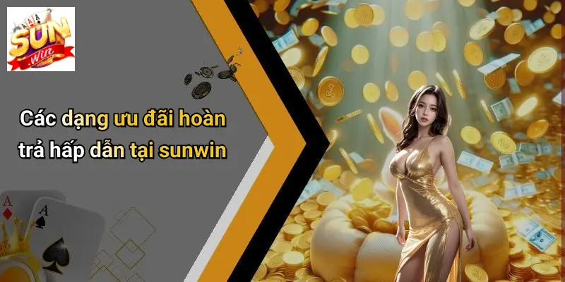 Các dạng ưu đãi hoàn trả hấp dẫn tại sunwin